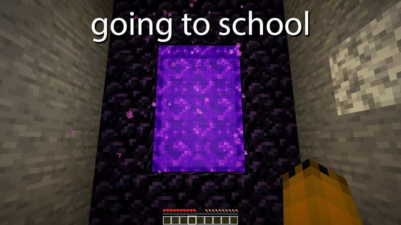 life portrayed by minecraft