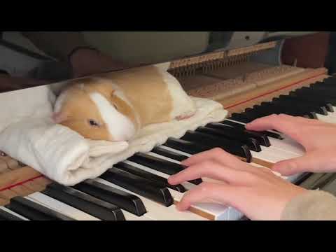 Clair de lune debussy