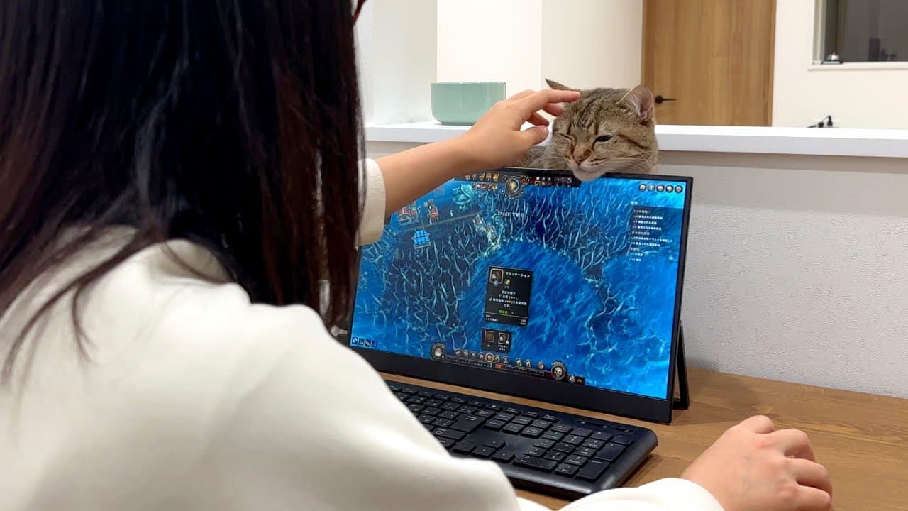 猫のゲームをやめさせる方法が可愛すぎた…笑