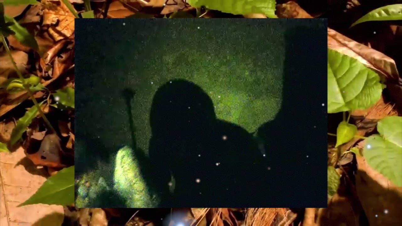 Ecco2K live/tokyo (GT-R, Black Boy, Cc, Fruit Bleed Juice, Don't Ask, AAA Powerline, Peroxide, Time)