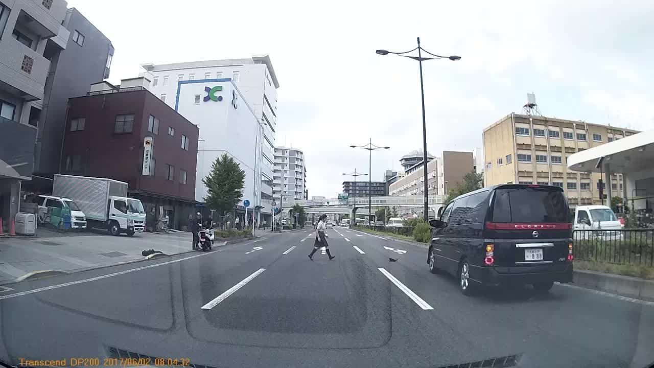 京都駅付近で女子高生がネコを助ける 2017/6/2