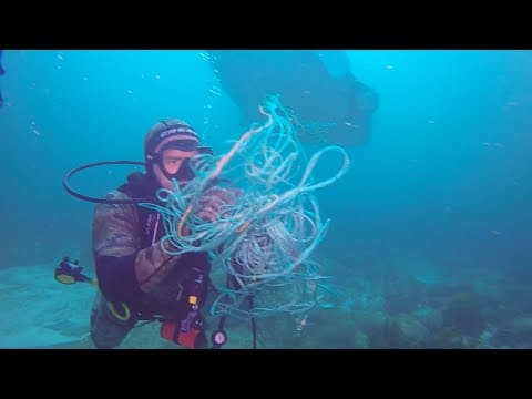 Giant Manta Ray Tangled In Fishing Line asking us For Help!