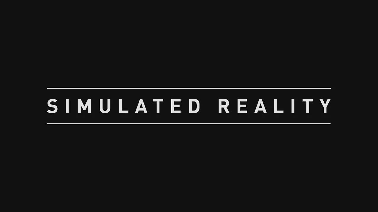 Simulated Reality