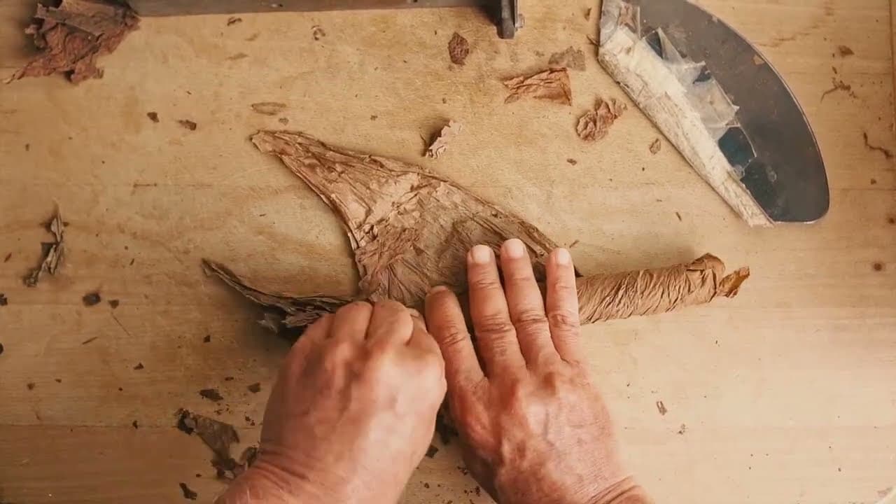 Roller's POV: Rolling a 54-ring Toro