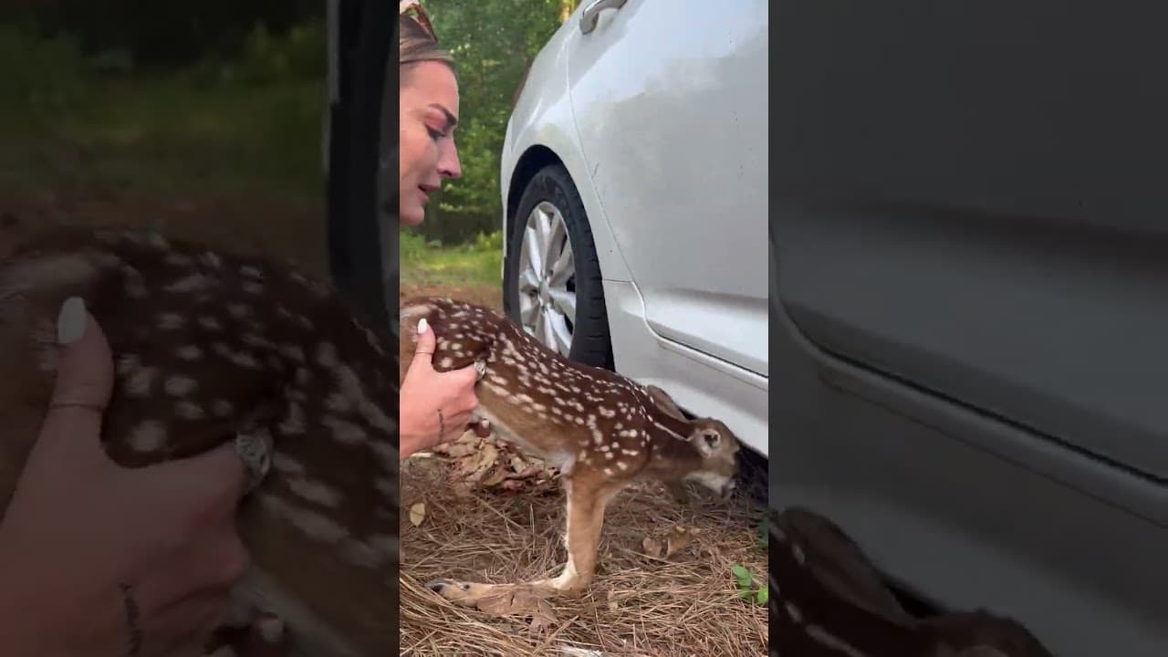 That escalated quickly