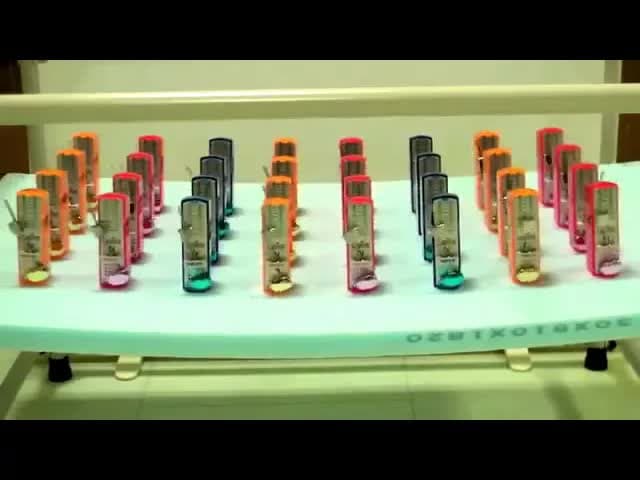 How long can these 32 metronomes swing in perfect sync?