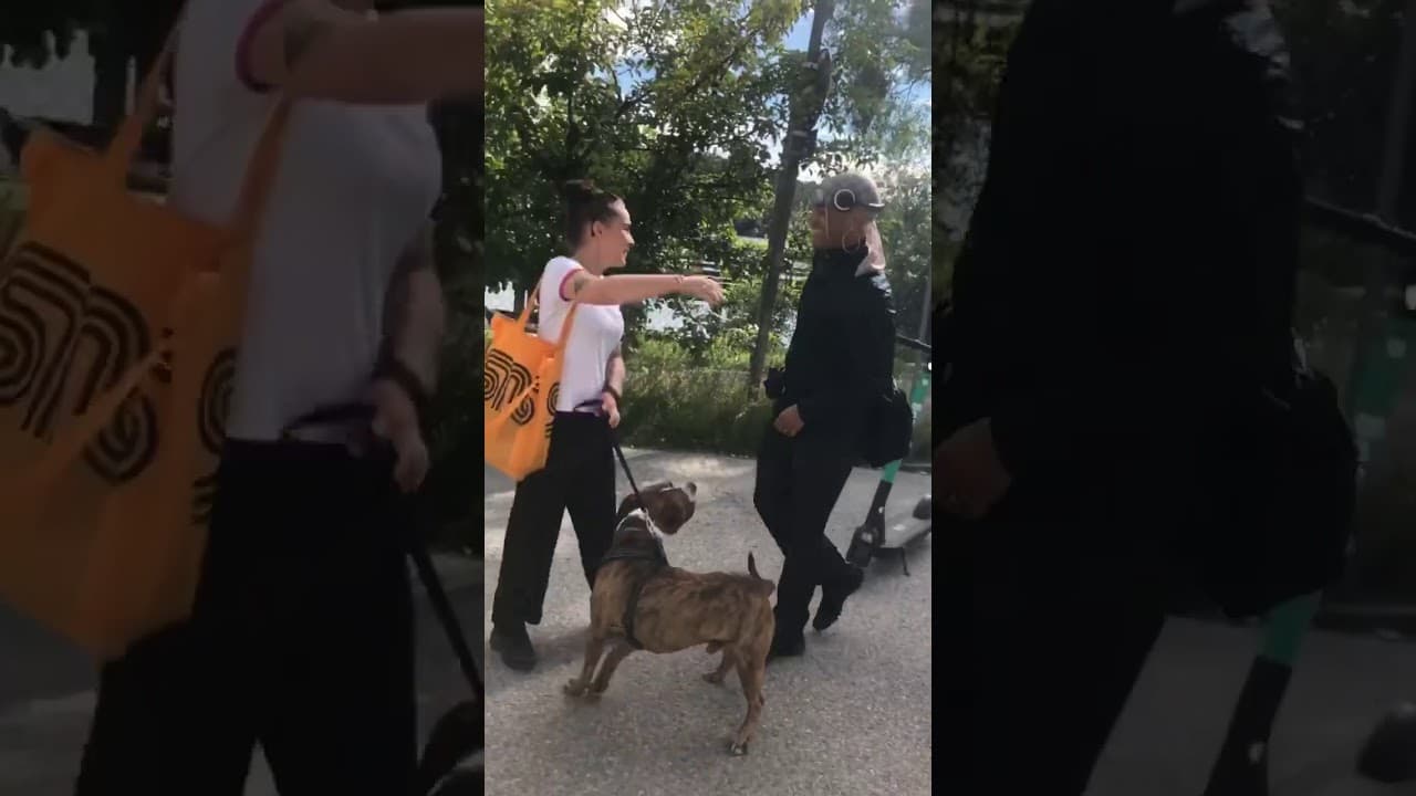 Yung Lean & Bladee & ECCO2K & Cady & Mechatok - Chilling outside