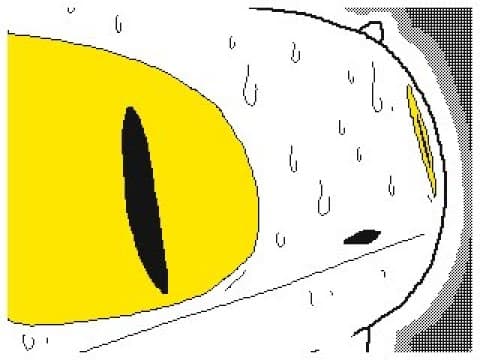 Artists when a new character is revealed.