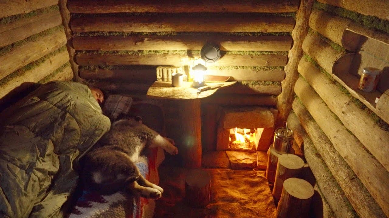 A Man and His Dog Hide from the Thunderstorm in a Forest Cabin and Stay Overnight. No talking