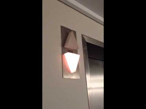 World's Most Pathetic Elevator Chime