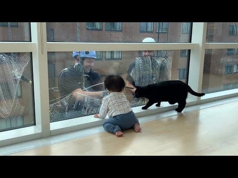 愛猫ギネスと窓拭きおじさん⑥③