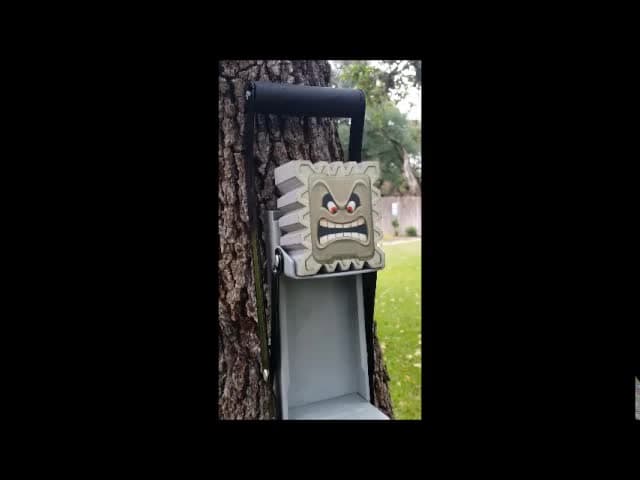 Thwomp the ultimate crusher