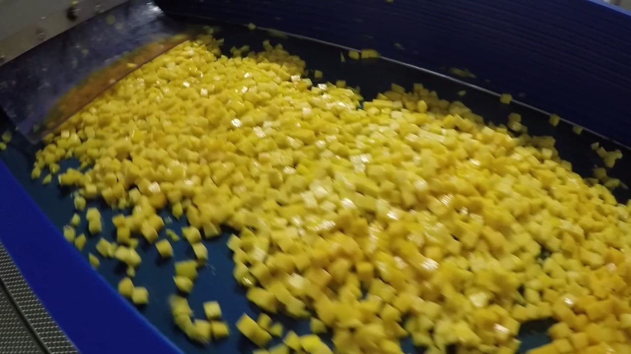 Mango Chilling, Dicing, IQF Processing Line by Innotec Systems BV