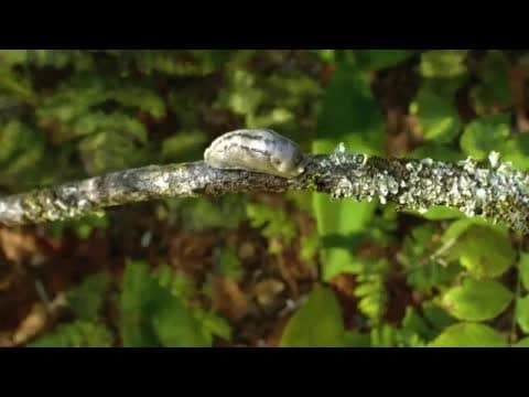 Exploring the limits of real time rendering