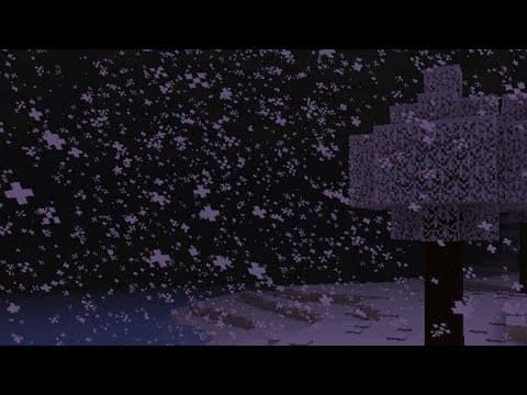 1 song, 1000 memories.